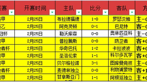 2025年新洲“新华杯”中小学生篮球赛火热开赛